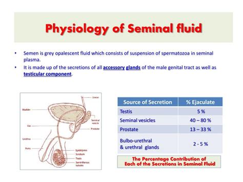 calories in semen|Semen: Fluid, Production, Storage & Composition .